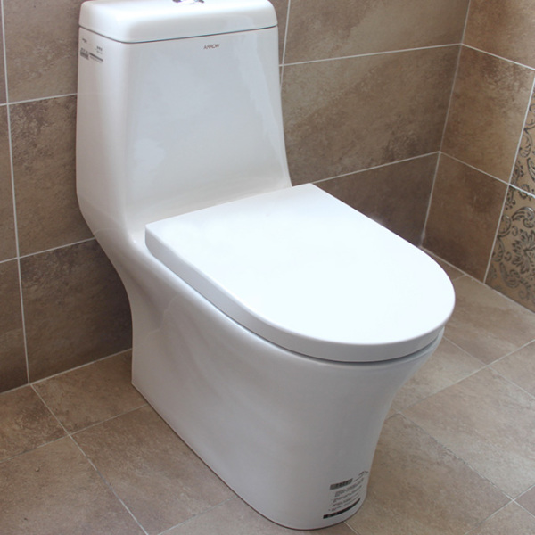 |马桶上一大一小冲水按钮，按错了每月要多用3吨水，你用对了吗？