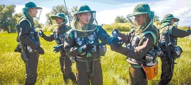 印度|我国一处边防：已牺牲七条军犬，随便伸手能拍死50只蚊子？
