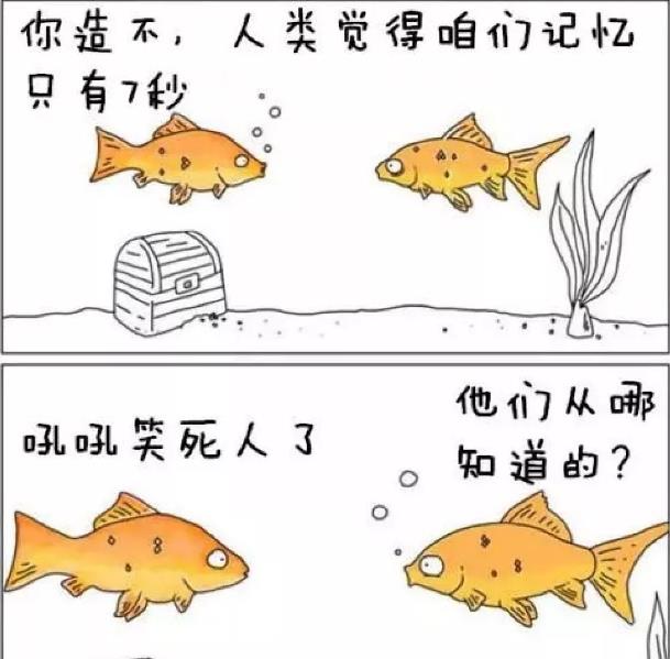 蛇真的会复仇吗?为什么说打蛇必须打死?