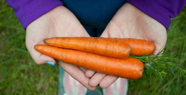 怀孕|“宠妻狂魔”太疯狂，将校花老婆宠成公主，如今体重达到300斤