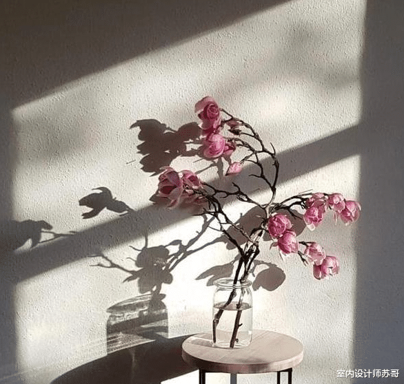 室内设计师苏哥|德国女主将两口之家布置得津津有味，全屋温馨，羡煞旁人