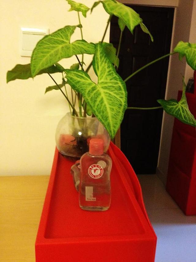 老公装修红黑搭配像个鬼屋，他还认为时尚独特，我都打算回娘家了