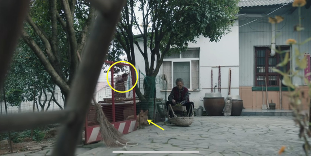 张艺兴|《扫黑》张艺兴也有搞笑一面，被安排与鸡同框，站姿木讷努力克制