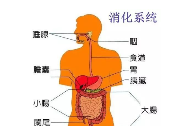 宇航员|为何严令禁止宇航员在太空舱中随意放屁？太空舱中的屁有多危险？