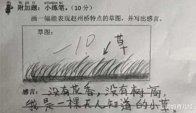 帅妈育儿经|小学生“倒数第一”试卷走红，脑回路清奇，老师反讽：智商太高