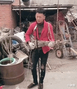 小谷阳|“刚收的，一个老人说是老辈从皇宫带出来的，谁知道是干什么用的？”哈哈哈