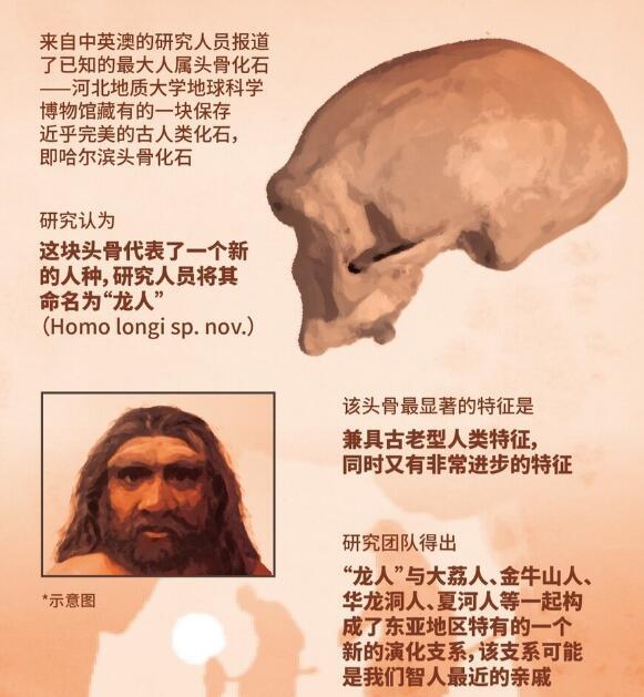 新人种“龙人”是在我国发现的，但他可能会改写全人类族谱