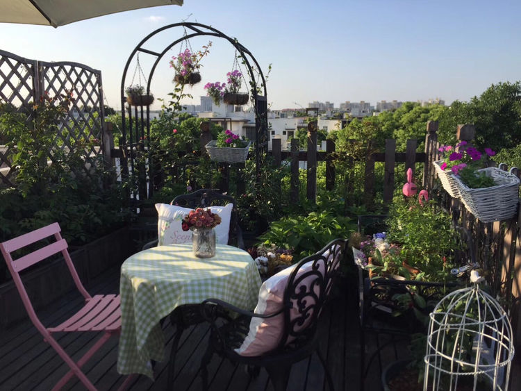 花一年多时间，改造16㎡屋顶露台，荒废屋顶变身“空中小花园”