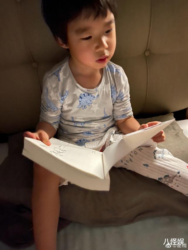 谢楠|谢楠晒3岁儿子看书照，吴老二一脸认真还质疑，网友齐呼“学霸”