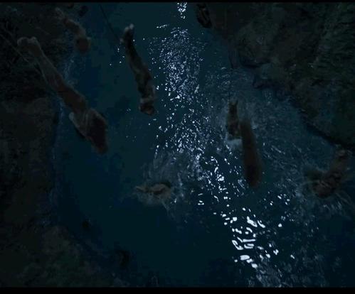 菜菜叶|科普:云南虫谷中的水彘蜂是什么?水彘蜂能吃吗?