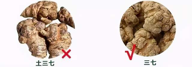 金选医课|给邻居赠药致死赔13万，中药的肝毒性也不容小觑！