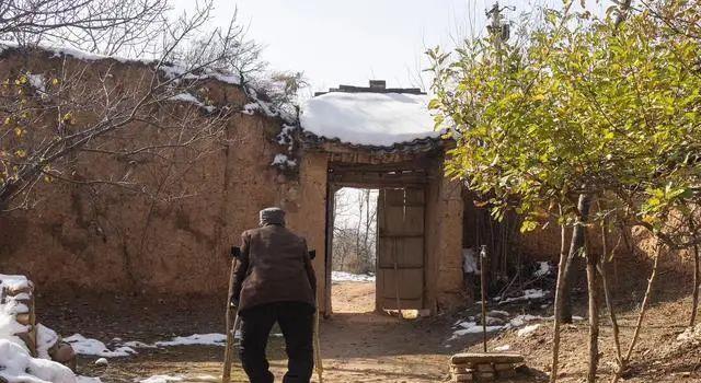 种上阳台|刘贵照顾父亲至临终,最终兄弟却不原谅他,因他在院前栽了“桑”