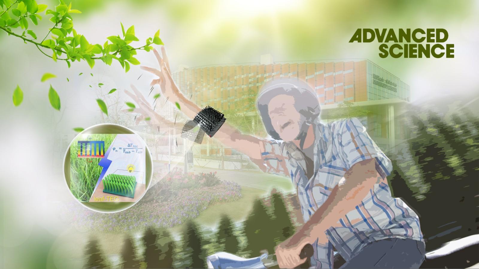 中国基建资讯 南方科技大学在“树叶”结构全柔性温差发电器件研究上取得新进展