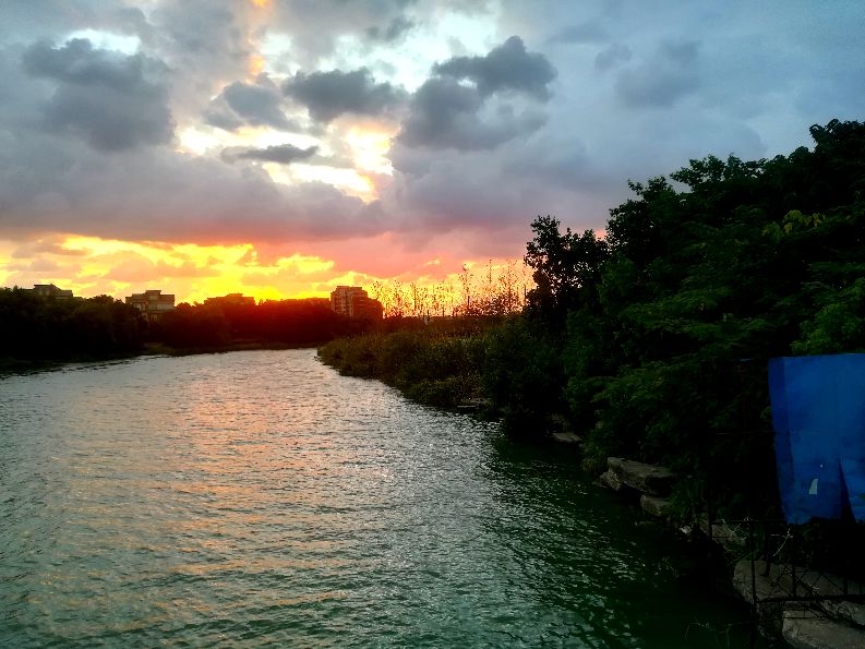 |霞光撒了一地，雨露随后就到？