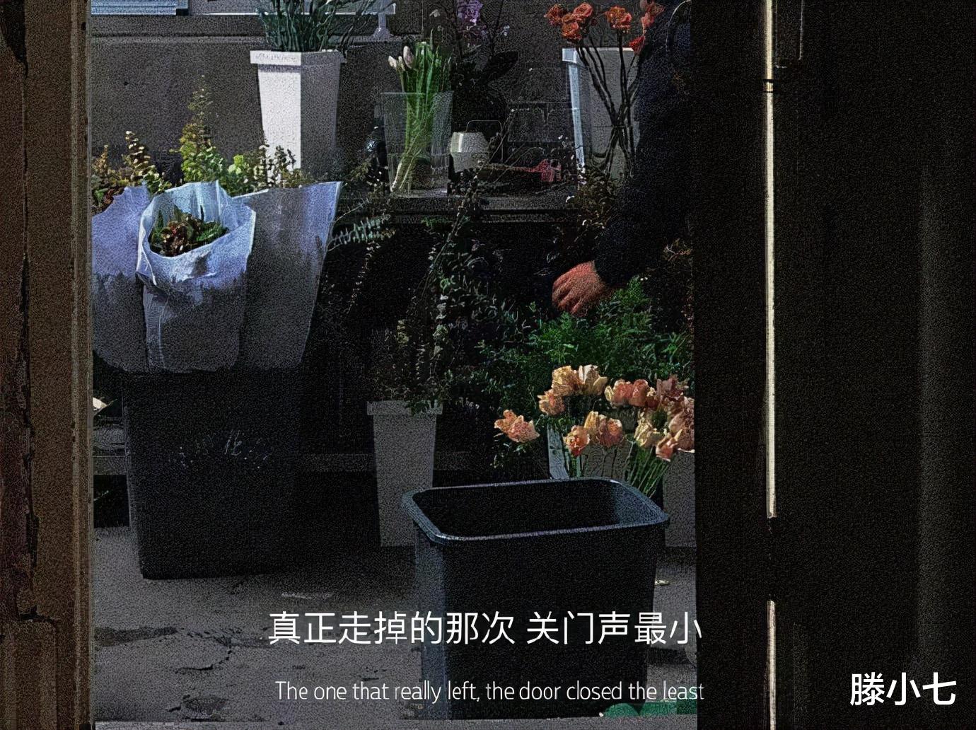 删除|“对于喜欢你这件事，我真的尽力了......”