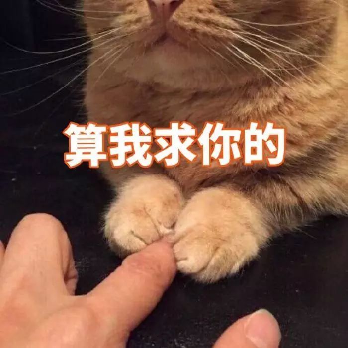 护肤品|3款被“捧上神探”用起来却一言难尽的护肤品，家里有矿也别买