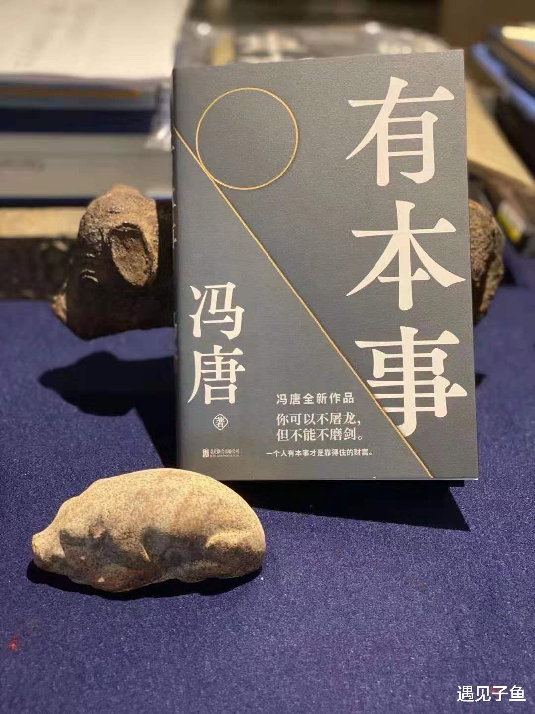 遇见子鱼|中年油腻男冯唐：一个人挣多少钱才够，怎样才能做一个有本事的人
