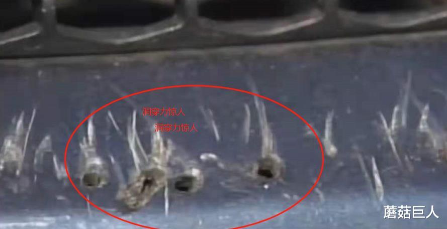 蘑菇巨人|何为仿形者之谜,蜥蜴人是真实的还是神话?谁“盯住了”蜥蜴人