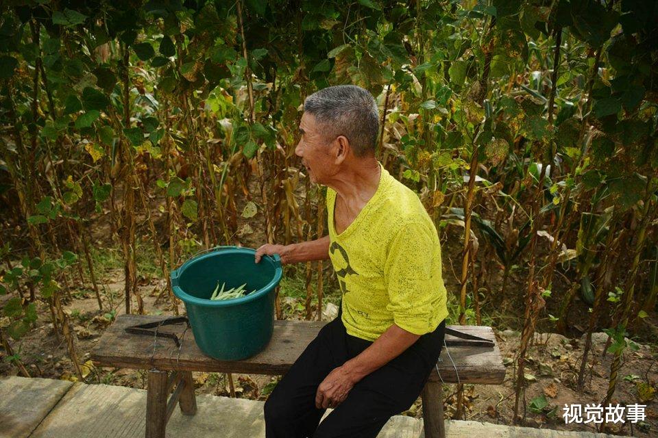 大爷 69岁大爷卖柴卖工养“弃婴”23年，终身不娶，看生活成啥样