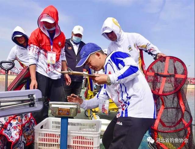 浙江省|2021中华垂钓大赛河北邯郸分站赛落帷