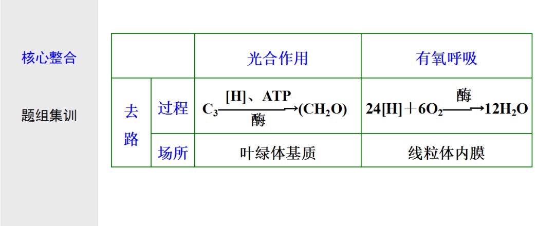 初中生物:光合作用与细胞呼吸知识点详解!