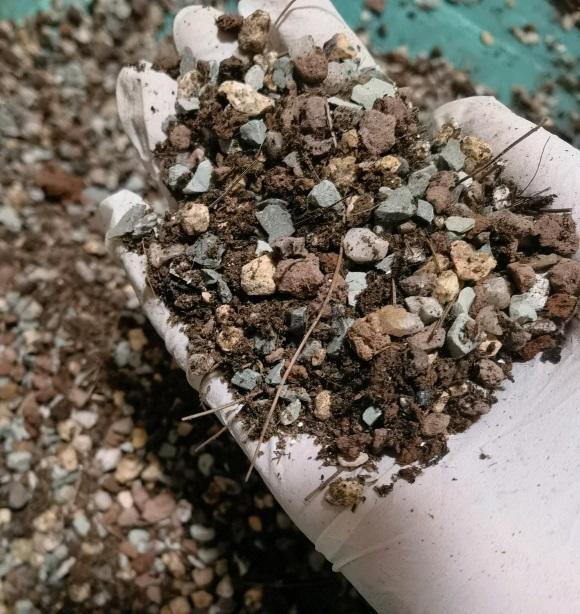 向阳园艺|花土的种类有很多,了解花土的特性,自己配土,更适合多肉生长