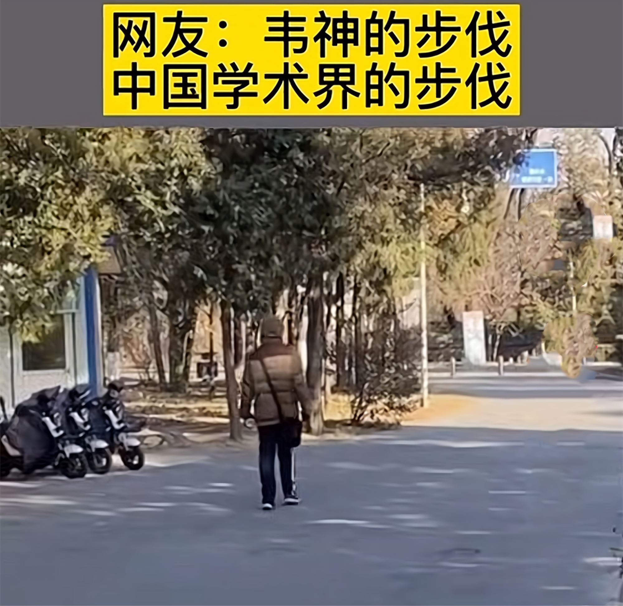 韦东奕|韦东奕沉浸式课堂走红，数学解题为啥没数字？网友笑称凡人看不懂