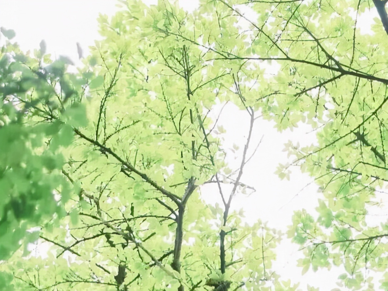 星座师安达|懂得独善其身的星座，外表不争抢，即便遇到好机会，也很难心动