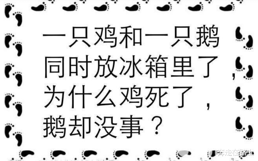 刘海 “这是我们村的流水席，还有谁不服？”哈哈哈看来都虚得很啊