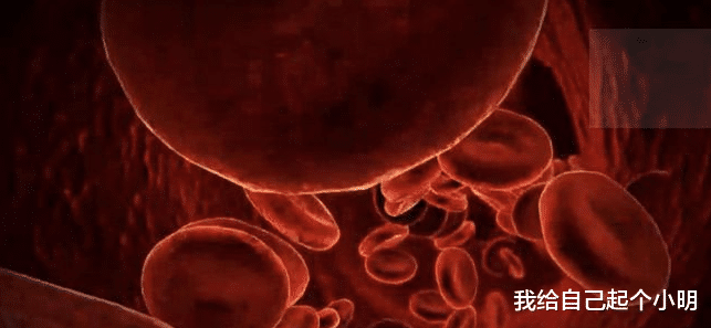  地球仅剩的蓝血人种，在海拔6000米的深山中发现，专家：不敢相信！