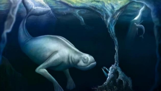 哺乳动物 人类起源于海洋？研究者给出4个“证据”，东南亚已有人告别陆地