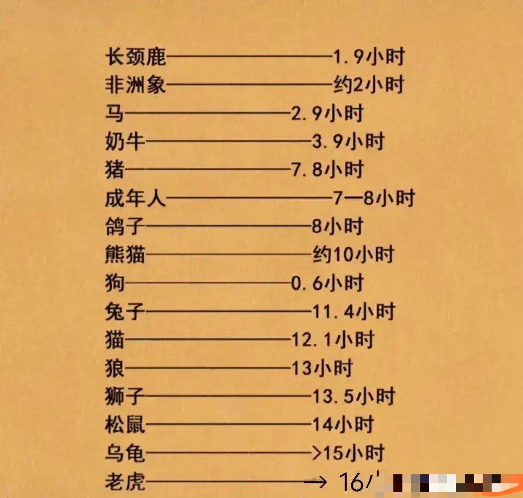 恐龙 动物一天的睡眠时间:老虎最长,长颈鹿最短,成年人是8小时