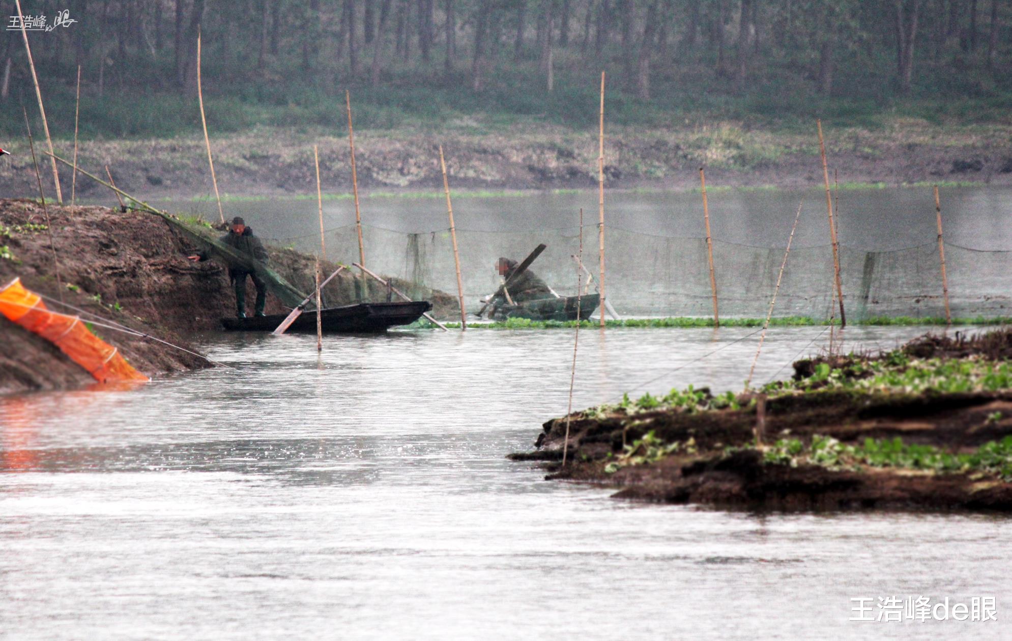 饵料|禁捕鱼咋禁的？湖北孝感河中下满网空中网直飞