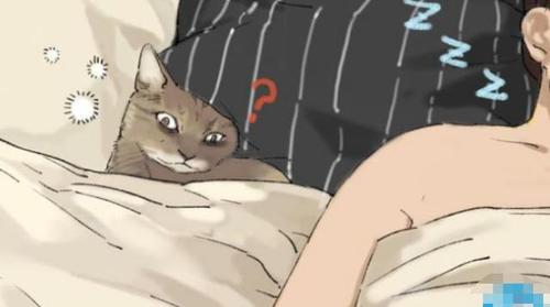 舜网 当一对情侣有了一只猫之后，那只猫就是女生最大的情敌！