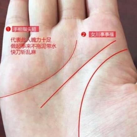青玄命理|这种手相都是勤俭持家的一把好手，钱财发面不会过度，相当扎实稳健