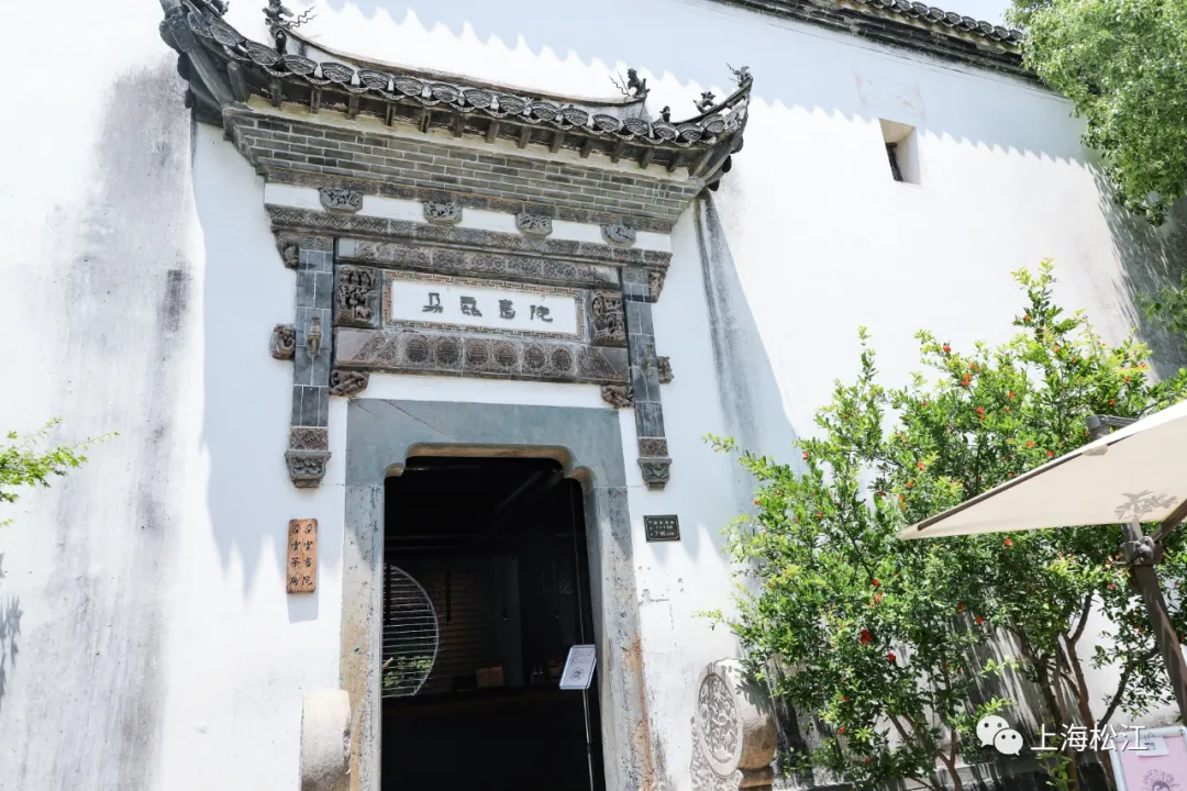 章子怡|热播电视剧《理想之城》松江取景地来了!