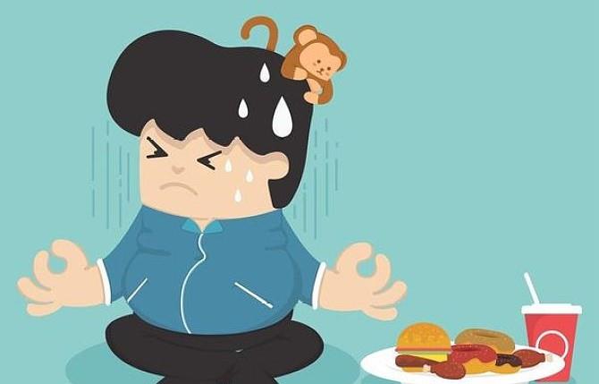 |管好食欲，健康减肥，感觉不饿，是实现目标的保障