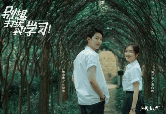 选秀|新晋归国四子：有人跻身顶流、有人与粉丝恋爱、有人是选秀冠军