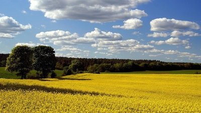 小人物的小情感 暴发户心理的悲与殇,多少企业毁于暴发户心理