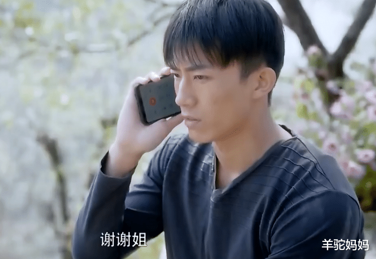 羊驼妈妈|相亲市场也有“鄙视链”？二胎家庭有弟弟的女生垫底，太现实了