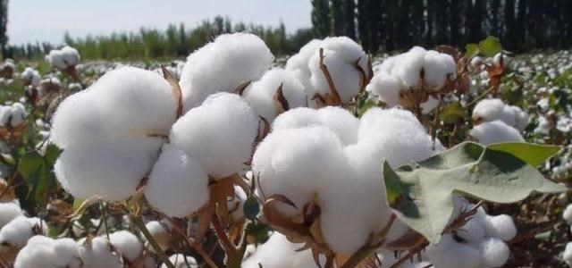 教教你家娃|我国“新鞋王”出现,市值突破3000亿,净利润“超车”阿迪达斯