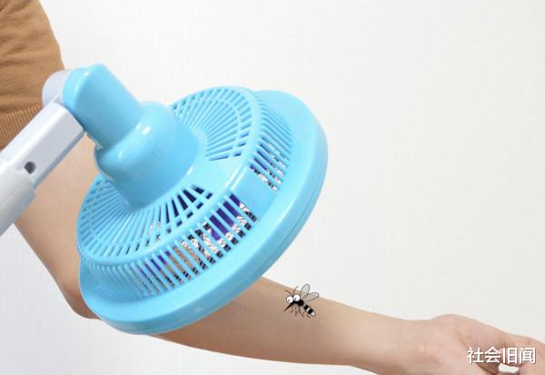 蚊子 蚊子每年导致上百万人死亡，而我们却不能让它灭绝，灭绝了后果很严重