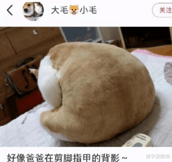 张惠妹 “高铁上一位40岁的阿姨，一直用脚碰我，我该怎么办啊？”