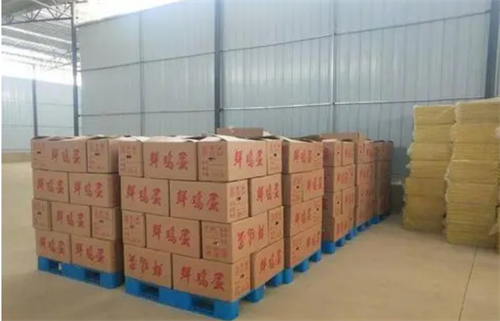 广西一男子在家抓贼时致贼死亡,家属向户主索赔81万元