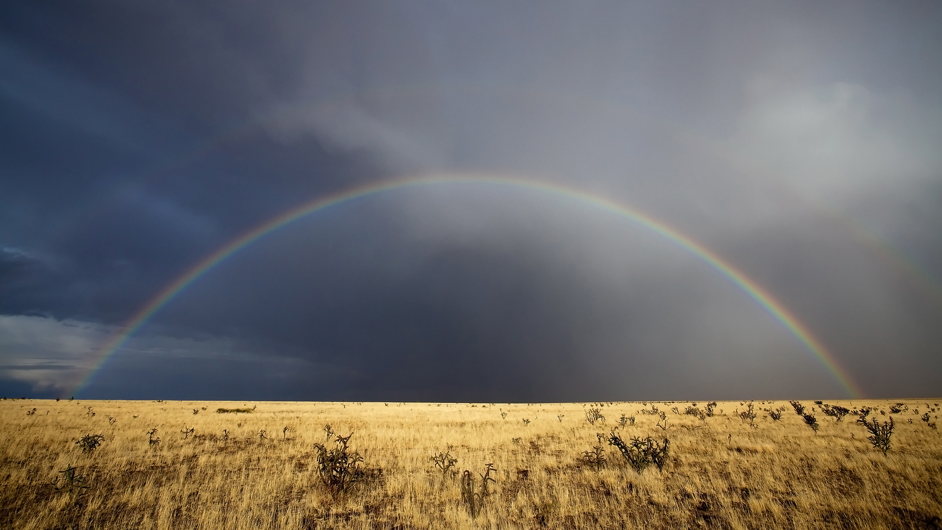|如何面对不喜欢的工作？
