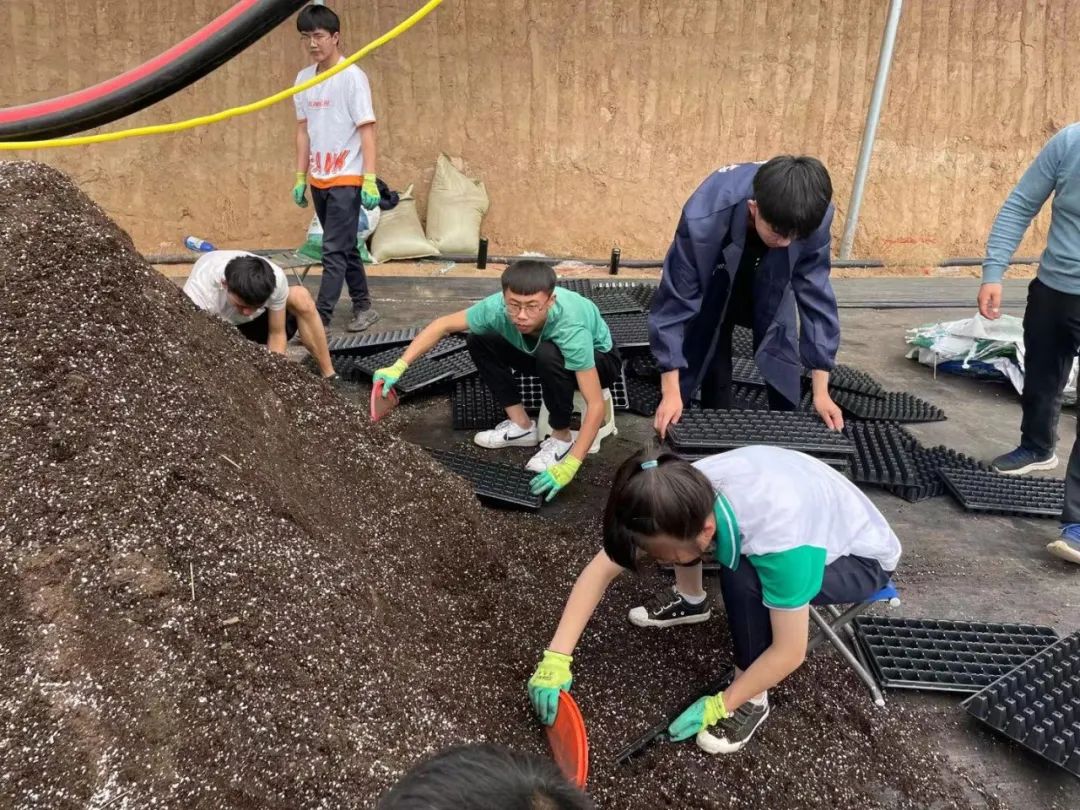 灵武市融媒体中心 种植大棚里的实践课堂，有知识更有价值