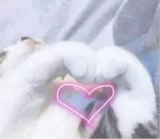 卓卓and然然|孕妇洗护用品千万别乱花钱，被埋没在角落的宝藏洗护才是实力担当