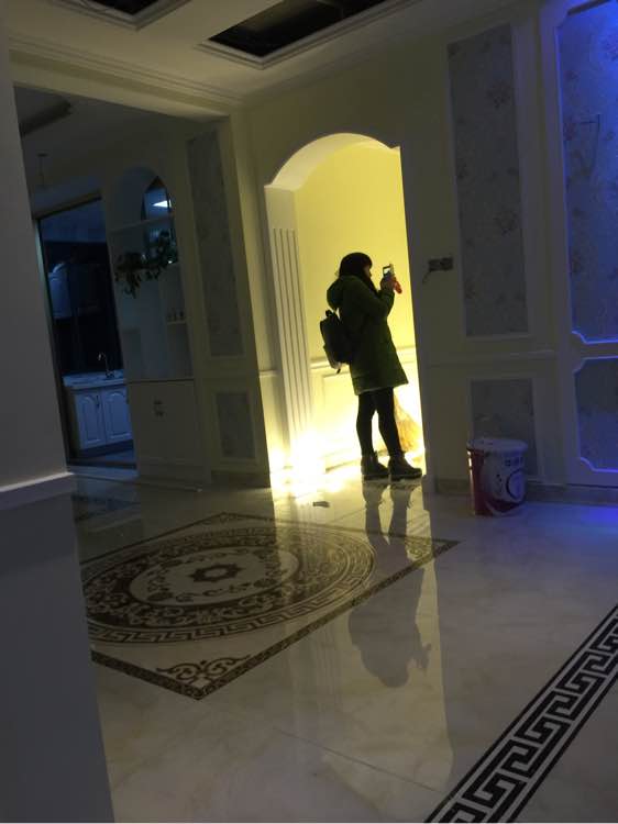 历时半年,老婆用50多万将房子装修成宫殿,我只是心疼我的钱!