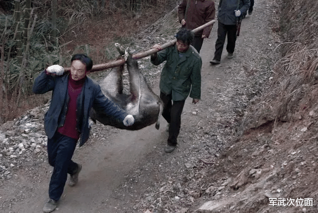 蔡文泉|在中国考持枪证,去山里打野猪月入5万?到底是真是假?