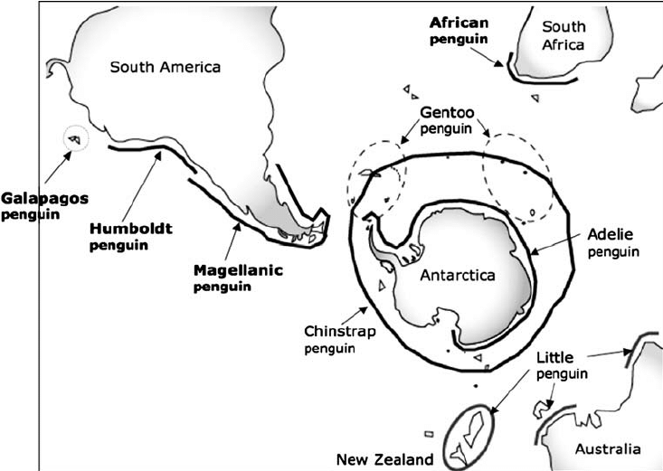 南极 1种企鹅被洋流冲到赤道，回不了家就地生活，现在濒危了